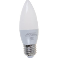 Светодиодная лампа General Lighting Systems Свеча CF-10W-E27-2700K 683000
