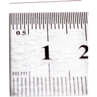 Сверло по металлу (10 шт; 0.25х3х19 мм; ц/х; Р6М5; А) Sekira 00-00008869
