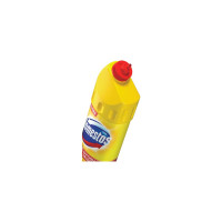 Чистящее средство DOMESTOS Лимонная свежесть 8717163094921