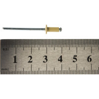 Daxmer Заклёпка вытяжная 3,2х8 RAL 1014 7989/307989 307989