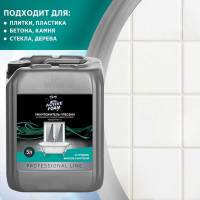 Средство для удаления плесени и грибка NovelGuard ТМ NG Active Foam 41180005