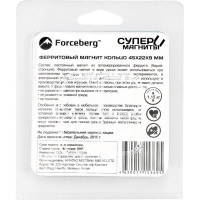 Ферритовый магнит-кольцо Forceberg 45x22x9 мм, 2 шт. 9-2482048-002
