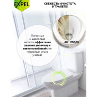 Средство для чистки унитаза, соединенного с септиком EXPEL TS00010