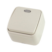 Выключатель слоновая кость 1-клавишный открытой установки с подсветкой TDM ELECTRIC IP20 10А, серия "Дача" Народная SQ1824-0018