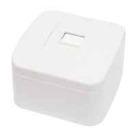Компьютерная розетка TDM ELECTRIC RJ-45 открытой установки IP20, белая Дача Народная SQ1824-0011