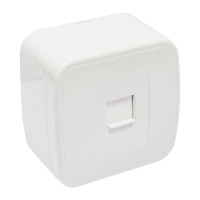 Компьютерная розетка TDM ELECTRIC RJ-45 открытой установки IP20, белая Дача Народная SQ1824-0011