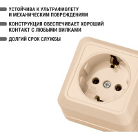 Розетка TDM ELECTRIC 2П+3 открытой установки IP20 16А 250В (керамика) слоновая кость "Ладога" SQ1801-0211