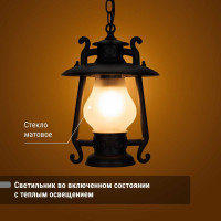 Светильник уличный TDM ELECTRIC "Кантри" 60 Вт, подвес, матовое/черный, Е27 SQ0330-0100