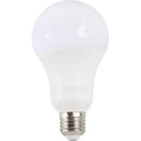 Светодиодная лампа Ресанта LL-R-A80-20W-230-6K-E27 груша, 20Вт, холодный, Е27 76/1/76