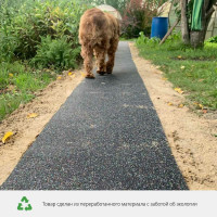 Тротуарная противоскользящая дорожка Alegria outdoor 2500x600x5 мм 25.6.5AO.Bc