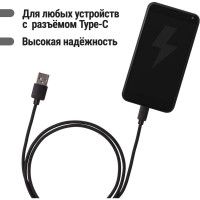 Дата-кабель TDM ELECTRIC ДК 2, USB - USB Type-C, 1 м, черный SQ1810-0302