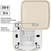 Выключатель слоновая кость 1-клавишный открытой установки с подсветкой TDM ELECTRIC IP20 10А, серия "Дача" Народная SQ1824-0018
