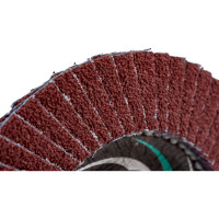 Круг лепестковый универсальный PROF (125х22 мм,  А36, 14А) Tsunami КЛТ1 D96100000P12536