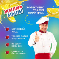 Моющее средство для посуды Жили-Мыли "Локус" аромат "Лимон", 1 л, флакон с пуш-пуллом 4623721761720
