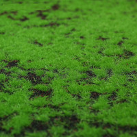 Декоративный искусственный мох Greengo 1х1 м, зеленый на черном 5203157