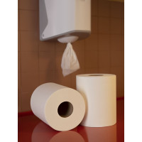 Полотенца бумажные д/дисп. Luscan PROFESSIONAL Luscan Professional 1слперф 300м 6рул/уп 486858