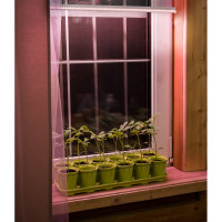 Светильник TDM ELECTRIC ФИТО 06-14-001 14 Вт, IP20, l=873 мм, с выкл., SQ0372-1002