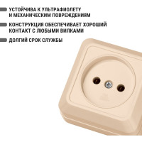 Розетка TDM ELECTRIC 2П открытой установки IP20 10А 250В керамика слоновая кость Ладога SQ1801-0210