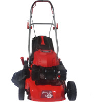 Самоходная бензиновая газонокосилка Expert-bis L46S 263206