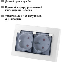 Двойная розетка TDM ELECTRIC 2П+З с защитными шторками и прозрачной крышкой 16А 250В IP44 белая Таймыр SQ1814-0077