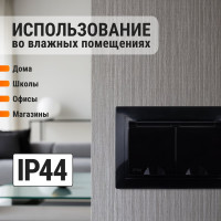 Двойная розетка TDM ELECTRIC 2П+З с защитными шторками и крышкой 16А 250В IP44 антрацит Таймыр SQ1814-0876