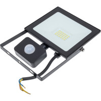 Светодиодный прожектор TDM ELECTRIC СДО-04-030Н-Д с датчиком 30 Вт, 6500 К, IP65, черный, SQ0336-0203