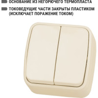 Выключатель слоновая кость 2-клавишный открытой установки TDM ELECTRIC IP20 10А, серия "Дача" Народная SQ1824-0015