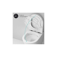 Подвесной унитаз AM.PM Sense FlashClean с сиденьем микролифт C741701SC