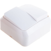 Выключатель Smartbuy 2-клавишный 10А белый Юпитер SBE-03w-10-SW2-0