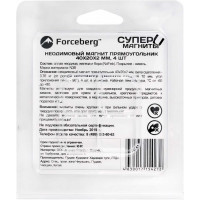 Неодимовый магнит-прямоугольник Forceberg 40x20x2 мм, 4 шт. 9-1272384-004