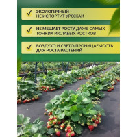 Укрывной материал спанбонд суф (3.2x10 м; 60 г/кв.м; черный) Доминар V62172