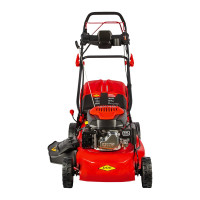 Бензиновая газонокосилка DDE LM 46-60 DE 909-402
