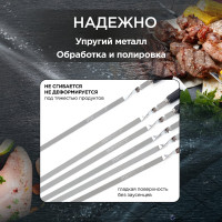 Набор больших шампуров (6 шт) FORESTER RZ-60WB