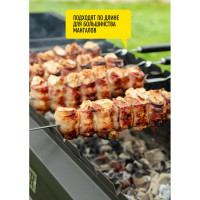 Набор больших шампуров (6 шт) FORESTER RZ-60WB