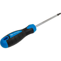 Отвертка HOEGERT TECHNIK TORX T25, 100 мм, сталь S2 HT1S056