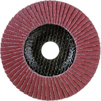 Диск лепестковый (125х22 мм; Р60) Karbosan KAR-981380