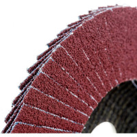 Диск лепестковый (125х22 мм; Р60) Karbosan KAR-981380