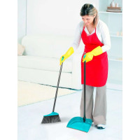 Щётка с совком для уборки GoGo бирюза 60056/1