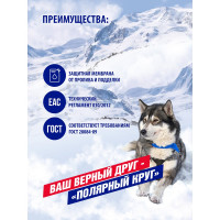 Охлаждающая жидкость NIAGARA Тосол Полярный круг А40М 1 кг канистра 000200300006