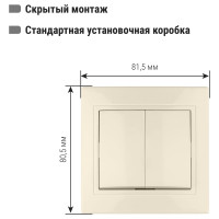 Двухклавишный выключатель TDM ELECTRIC 10А слоновая кость Таймыр SQ1814-0102
