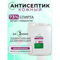 Антисептик для рук АЛМАДЕЗ Ликвид 5 л евро канистра АЛЛ-532