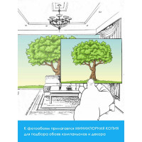 Фотообои флизелиновые Fotooboikin "Пальмовые листья" 300x270 см fot-184