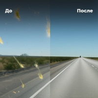 Омыватель стекол LAVR Антимуха Lemon концентрат 1:200, 250 мл Ln1218