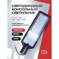 Светодиодный консольный светильник KRASO 100w (475x140x65мм) 10000Лм 6500К IP65 DL-100