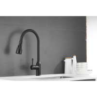 Смеситель для кухни SHEVANIK с выдвижной лейкой душем, черный S163H