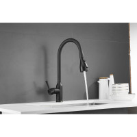 Смеситель для кухни SHEVANIK с выдвижной лейкой душем, черный S163H