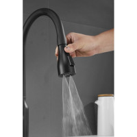 Смеситель для кухни SHEVANIK с выдвижной лейкой душем, черный S163H