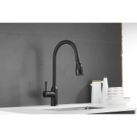 Смеситель для кухни SHEVANIK с выдвижной лейкой душем, черный S163H
