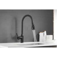 Смеситель для кухни SHEVANIK с выдвижной лейкой душем, черный S163H