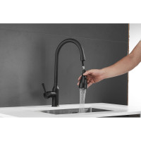 Смеситель для кухни SHEVANIK с выдвижной лейкой душем, черный S163H